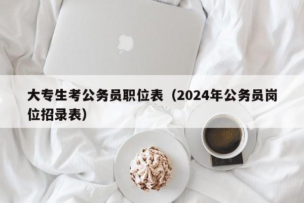 大专生考公务员职位表（2024年公务员岗位招录表）