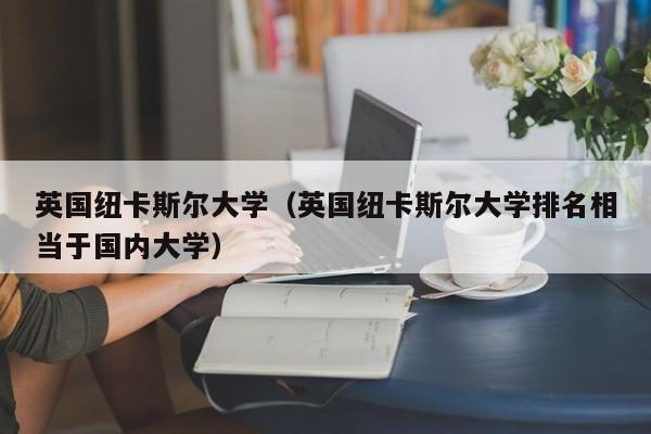 英国纽卡斯尔大学（英国纽卡斯尔大学排名相当于国内大学）