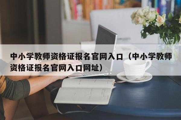 中小学教师资格证报名官网入口（中小学教师资格证报名官网入口网址）