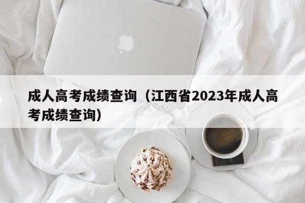 成人高考成绩查询（江西省2023年成人高考成绩查询）